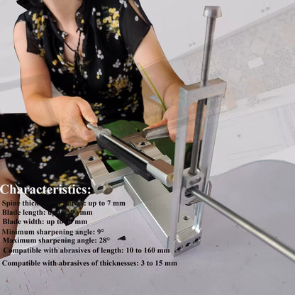 Elevate Your Culinary Skills with the S09 Professional Fixed Angle Apex Knife Sharpener - Precision Kitchen Tool with Diamond Stones Set